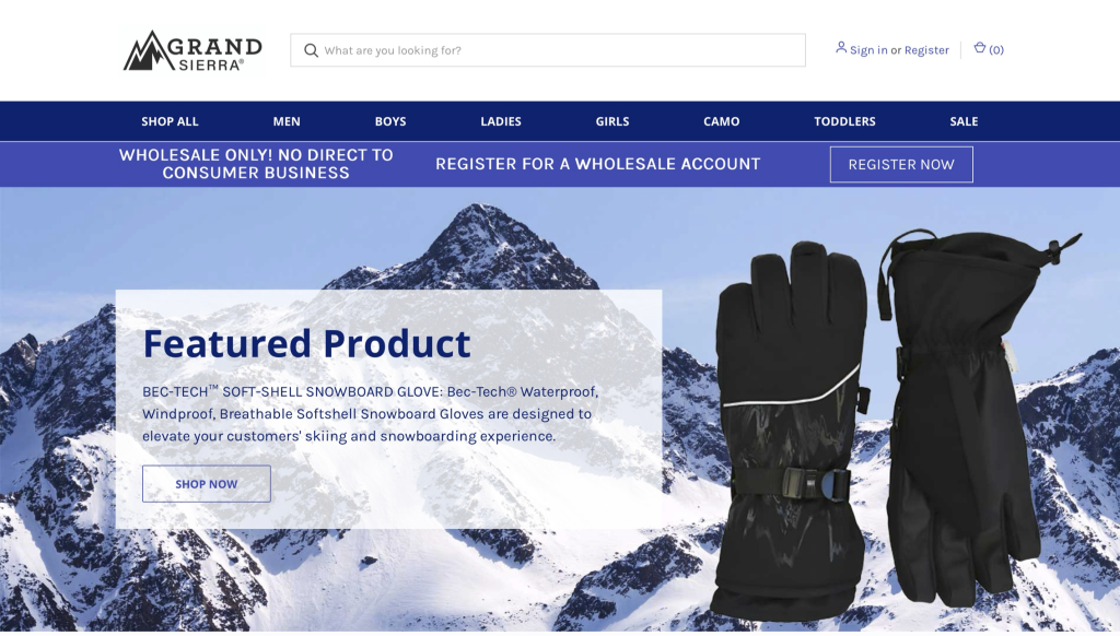 BigCommerce Multistore Development | Case Study